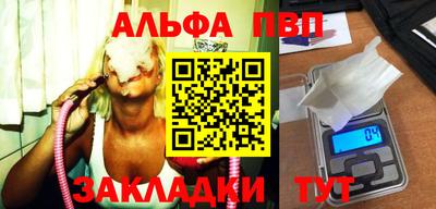 крисы Кингисепп