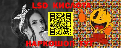 крисы Кингисепп