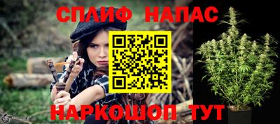 spice Кимры