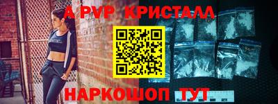 крисы Кингисепп
