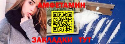 крисы Кингисепп