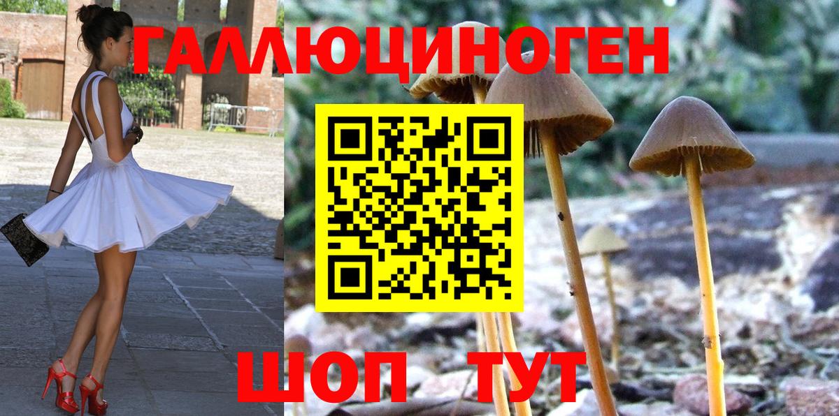 Галлюциногенные грибы мухоморы Костомукша